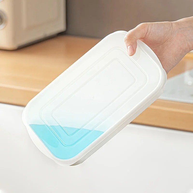 Contenitore Portatile per Cons - Food Storage Refrigerator recensione e prezzo