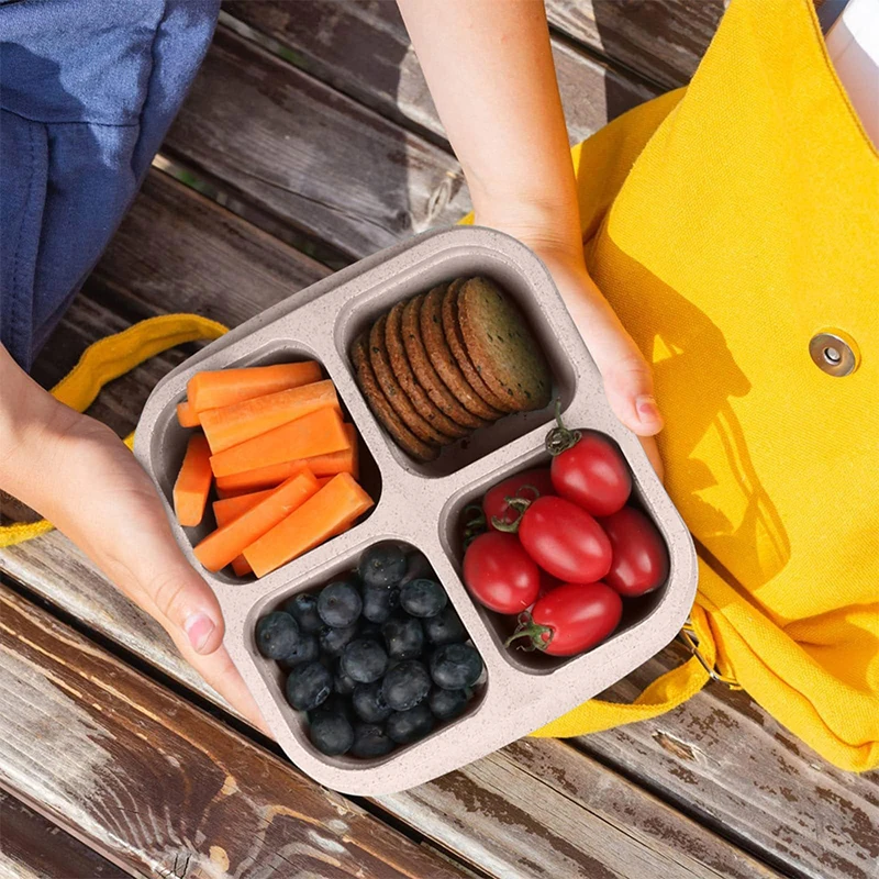 4 griglie scatola di immagazzi - Food Storage Freezer recensione e prezzo