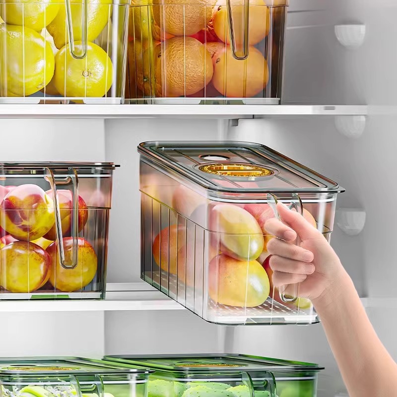 Scatola di conservazione per s - Food Storage Refrigerator recensione e prezzo