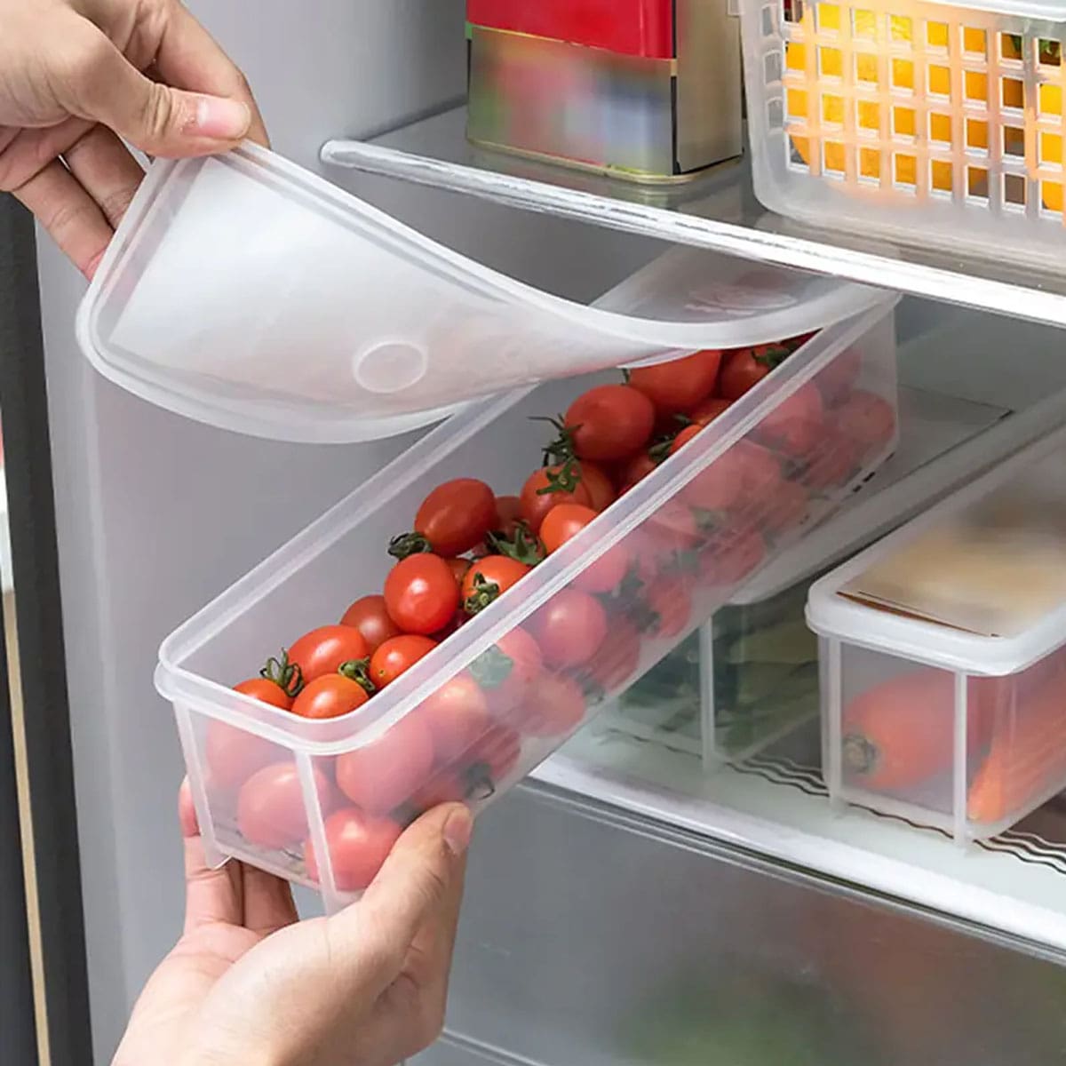 1 scatola portaoggetti in plas - Food Storage Quart recensione e prezzo