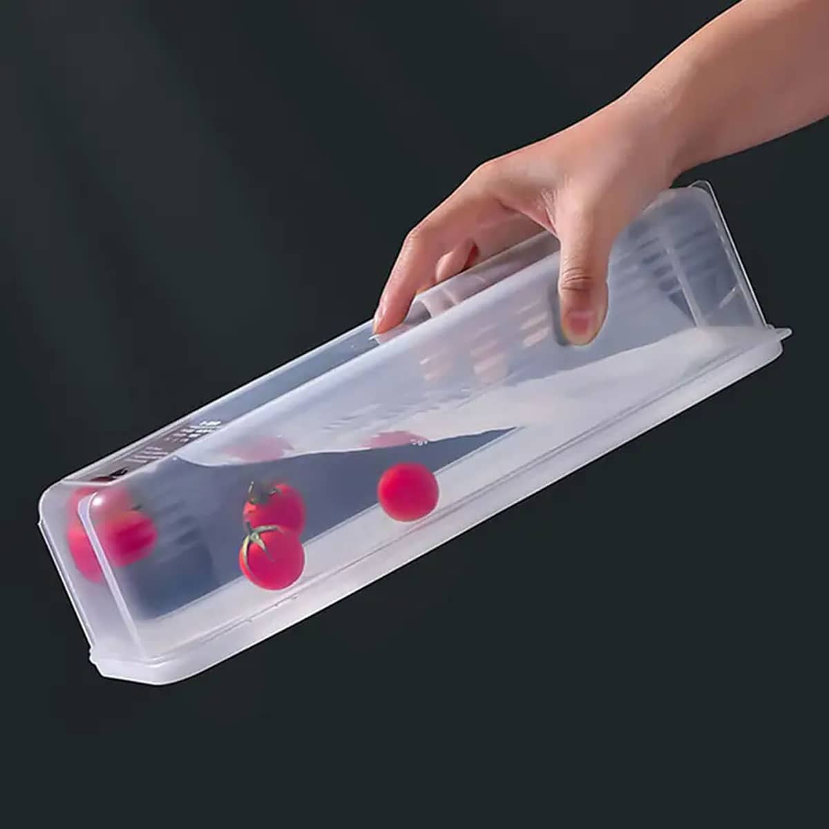 1 scatola portaoggetti in plas - Food Storage Quart recensione e prezzo